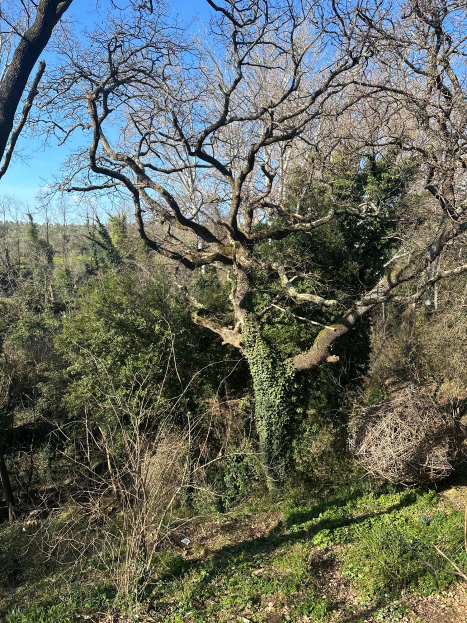 Hotel La Grotta Di Leonardo A Vinci Quarrata Esterno foto